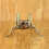 Elegante antike Cricket-Skulptur aus Messing, 7