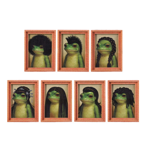 Funny Frogs Fridge Magnets Refrigerator-Long dreadlocks part 1