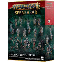 Warhammer Age of Sigmar Spearhead Kavalos Vanguard