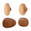 4Pcs Wooden Oval Hooks Strong Not Drill Mounting Hanger-beech1 2