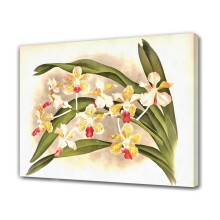 Orchid Canvas Poster – Bedroom & Office Decor