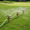 360 Degree Turning Garden Sprinkler With Different Water-Multi 2