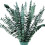 Eternal Leaves Torkade Blommor Bundle – 10 st 4