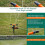 360 Degree Turning Garden Sprinkler With Different Water-Multi 5