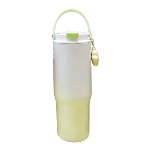 Flacons sous vide de couleur dégradée, tasse isolée-Vert 600ml