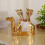 Small Coffee Spoon Holder Set Camels Base with Demitasse-Silver 6