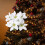 Artificial Poinsettia Bushes White35cm4Pack 5