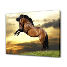 Wild Horse Jumping Canvas Poster – Bedroom Decor