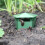 Reusable Beer Snail Trap for Garden 4