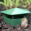 Reusable Beer Snail Trap for Garden 5
