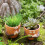 Joli récipient pour plantes succulentes à main, Pot de fleur 2