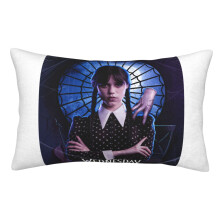 Wednesday Velvet Pillowcase, Super Soft Fuzzy Cover