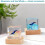 iZZZHH Harz-Ozeanlampe mit Buckelwal-Design 5
