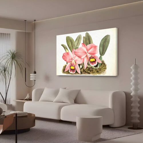 Two Orchids Canvas Poster for Bedroom or Office 2