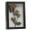 Shadow Box Frame 6x4 inch for Photos Keepsakes Medals 5