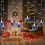 Christmas light curtain 80 LED 11.5 ft 4