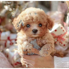 (A)2025 Novo Cão Robô para Adultos, Cão Robótico com IA, Nicoo - Meu Cachorrinho Robô Realista Que Age Como um Cachorrinho de Verdade - Anda