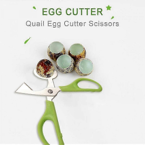20pcs Quail Egg Scissors Quail Egg Shell Cutters Separator Small Quail Egg Cracker Quail Scissors EDO 1