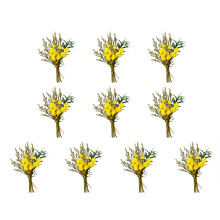 10Pcs Small Dried Flower 10cm Miniature Natural Dried-44