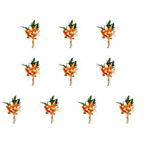 10Pcs Small Dried Flower Bunches 10cm High Natural Dried-2