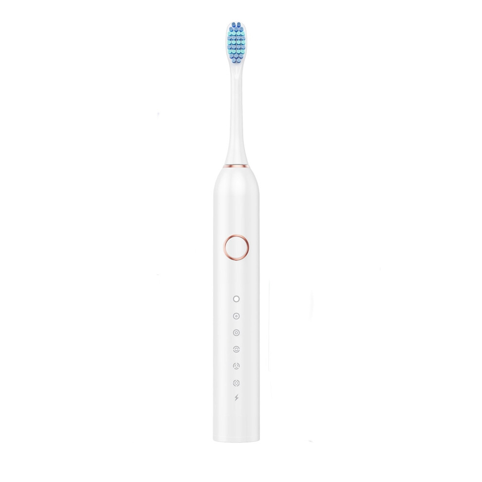 PAVEOS Electric Toothbrush â 10 Heads, 6 Modes, IPX7
