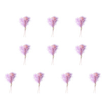 10Pcs Small Dried Flower 10cm Miniature Natural Dried-29