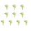 10Pcs Tiny Dried Flower Bouquets For Wedding Decoration-15 1