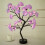 Lampe LED pour rosier – Alimentation par piles et USB 2