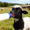 Professional Pet Milk Bottle With Leakproof-red pacifier 500 3