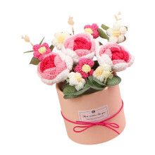 Gehäkelte Rosenblumensträuße im dekorativen Topf für-5