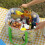 Boîte à lunch isotherme portable 12L 4