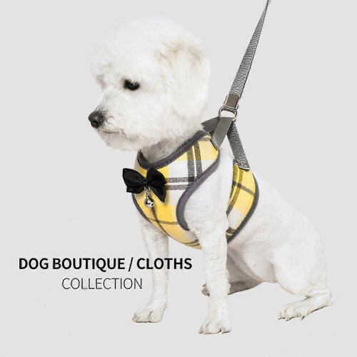 2025 Latest Model 3/5m telescopic traction rope color matching kitten automatic 1