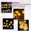 Lantern String Lights Outdoor Garden Decoration 2M 10 LED 3