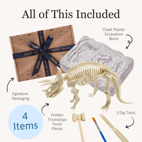 Fossil Dig Kit - Triceratops 1