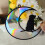 Pet Memorial Acrylic Window Pendant 5