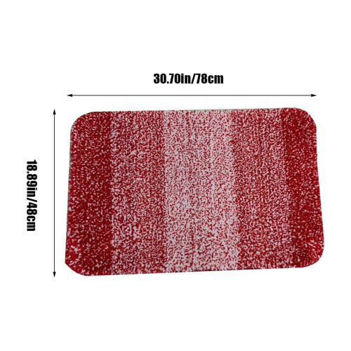 Tapis d'intérieur Jubipavy antidérapant et absorbant (1 pièce) 1