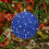 Zeceouar Christmas Tree Ornament Set Blue Shatterproof 4
