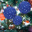 Zeceouar Christmas Tree Ornament Set Blue Shatterproof 5