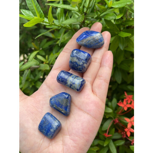 Lapis Lazuli Tromlede Sten 0,75–1 Tommer