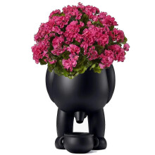 (black) Piss Pot Planter,Piss Pot for Plants,Peeing Plant Pot,Flower Pot Funny Vase  For Home