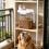 Small Pet Meal Dispenser With Comfortable Handle And-White 7