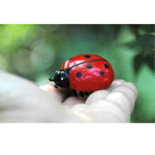 Mini Plastic Battle Bugs Toys For Cats Realistic Ladybug Ladybird Hornet Electronic Battery Powered Toys