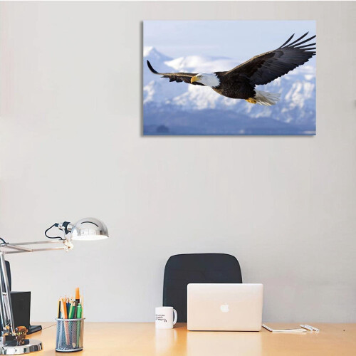 Bald Eagle Canvas Wall Art Poster 8x10 inch 1