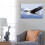Bald Eagle Canvas Wall Art Poster 8x10 inch 4