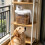 Little Kitchen Storage Bottle For Grains Pet Food-kase 6