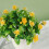 Τεχνητό τριαντάφυλλο τσαγιού Bonsai18Flowers πλαστική γλάστρα 4
