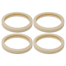 Linsendichtung für 79108500 für ausgewählte Aqualight- und SpaBrite-Poolleuchten (4er-Pack)