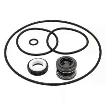 PS-200 Wellendichtungs- und O-Ring-Reparatursatz für XP2-, XP2E-, AquaFlo- und Flo-Master-Serien-Poolpumpen