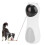 2025 Latest Model Cat LED laser toy cat entertainment toy automatic multi-angle 1