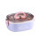 Large Capacity Oval Divided Portable Office Insulation Lunch Box,600ml (Plastic Purple) 1
